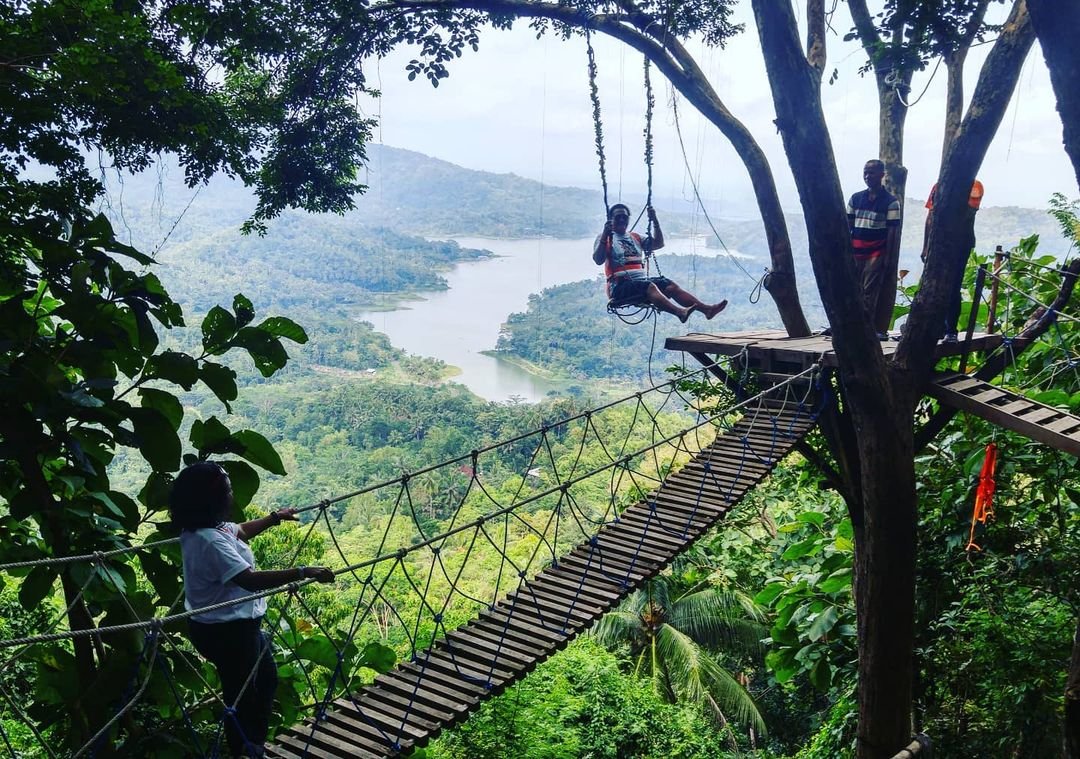 Menakjubkannya Bentang Alam dari Bukit Cendana, Kulon Progo