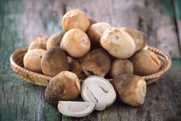 Kandungan Jamur Merang, Si Bulat Kaya Manfaat