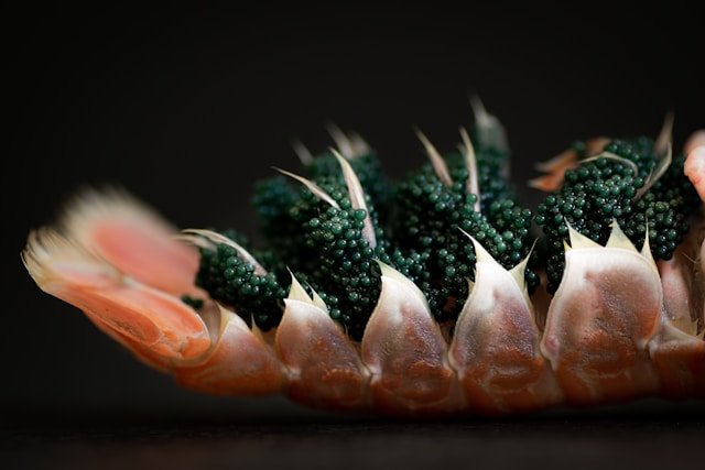 Caviar, Hidangan Ekslusif dari Ikan Sturgeon