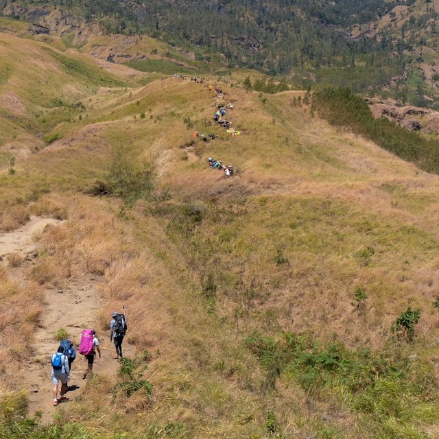 Cek! 5 Gunung yang Cocok untuk Pendaki Pemula di Pulau Jawa